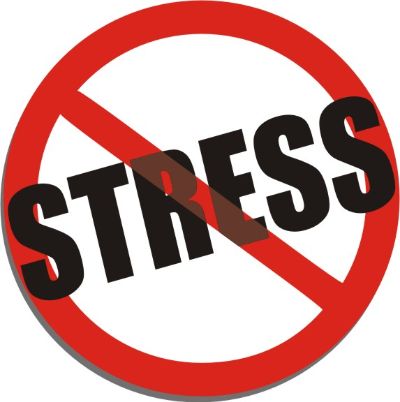 Image result for stress free day pics