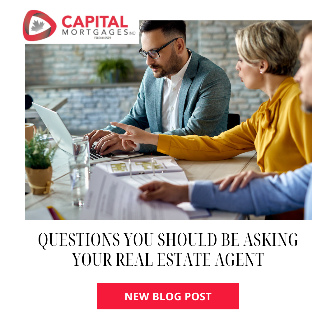 Questions real eastate agent