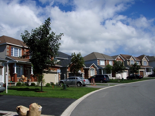Ottawa suburban homesteading